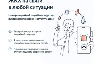 О популяризации мобильного приложения Госуслуги.Дом